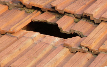 roof repair Hayshead, Angus